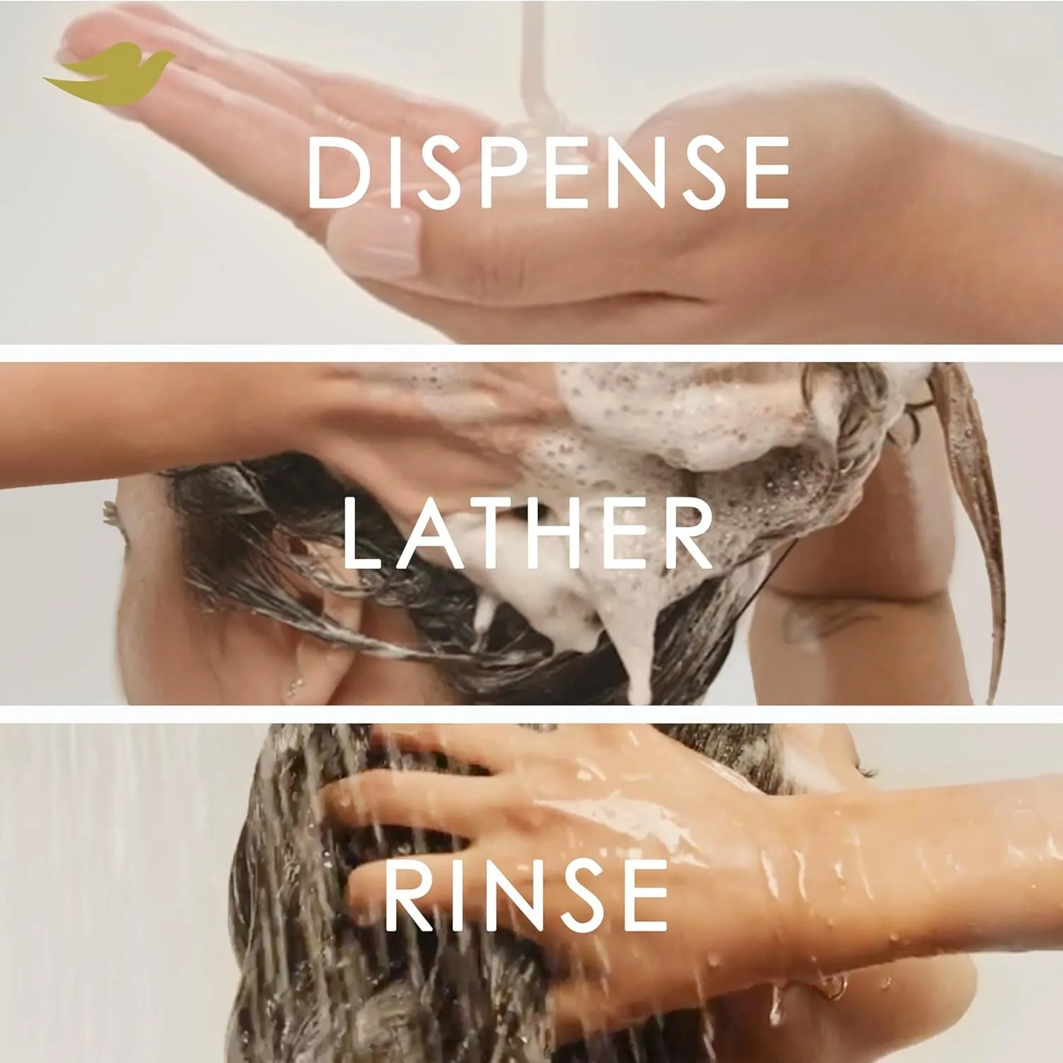 Damage Therapy Derma Shampoo Dryness   Itch for Flaky Scalp with Pyrithione Zinc and Coconut Oil 12 Fl Oz