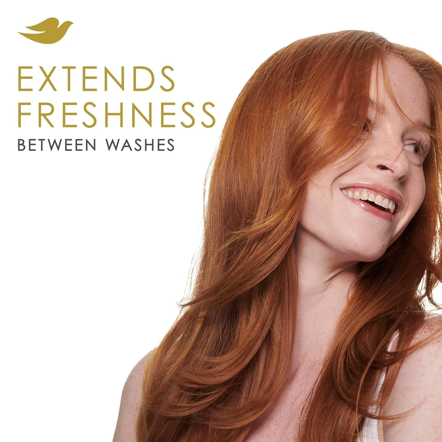 Dry Shampoo for 2 Count for Oily Hair Volume & Fullness for Refreshed Hair 5 Oz