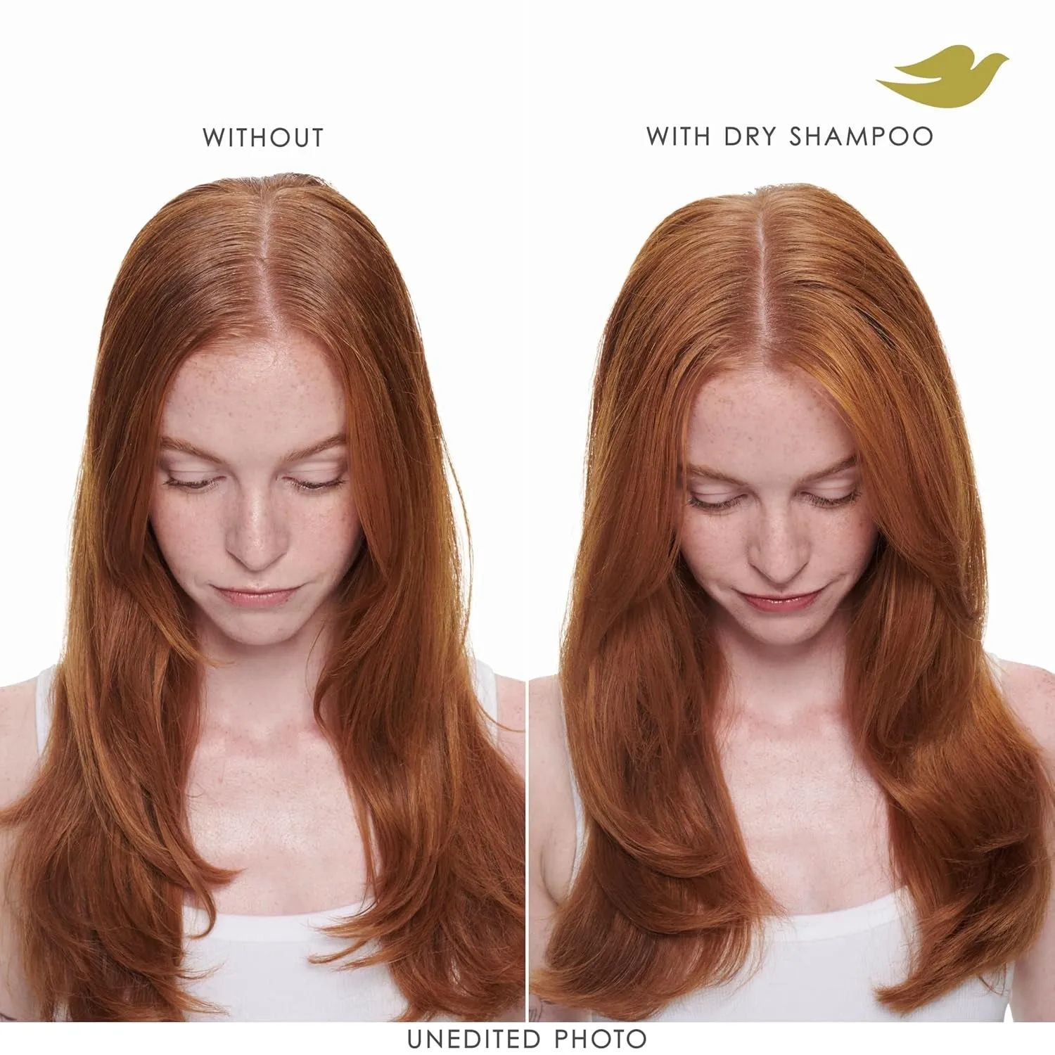 Dry Shampoo for 2 Count for Oily Hair Volume & Fullness for Refreshed Hair 5 Oz