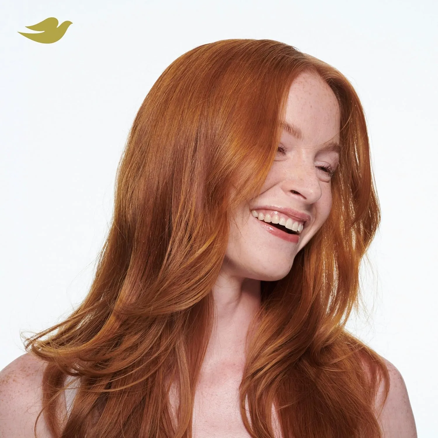 Dry Shampoo for 2 Count for Oily Hair Volume & Fullness for Refreshed Hair 5 Oz