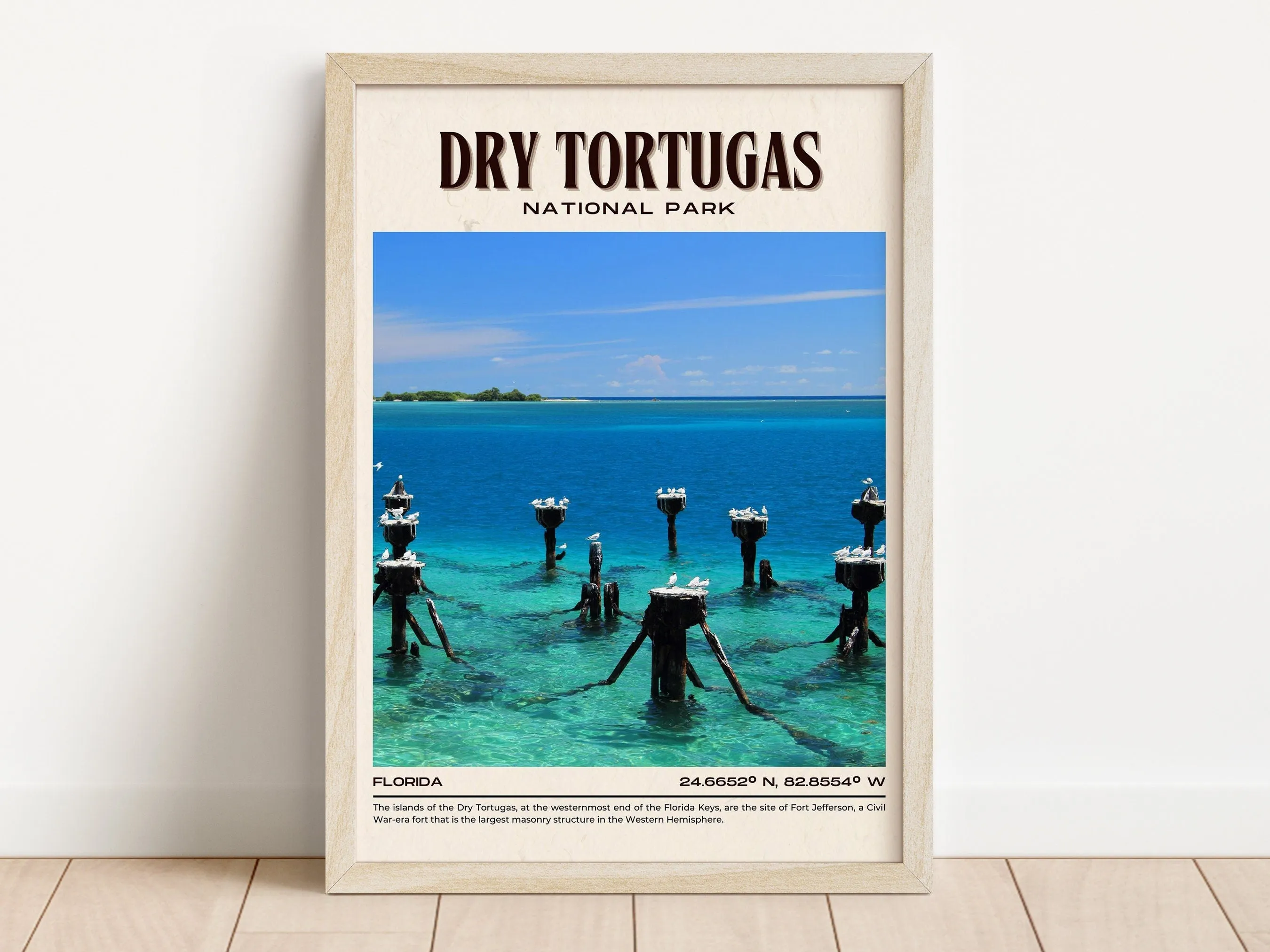 Dry Tortugas National Park Vintage Wall Art, Florida, USA