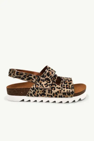 Harley Leopard