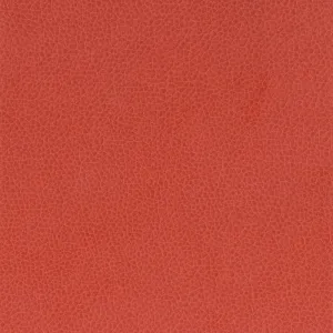 Nemo-Rose