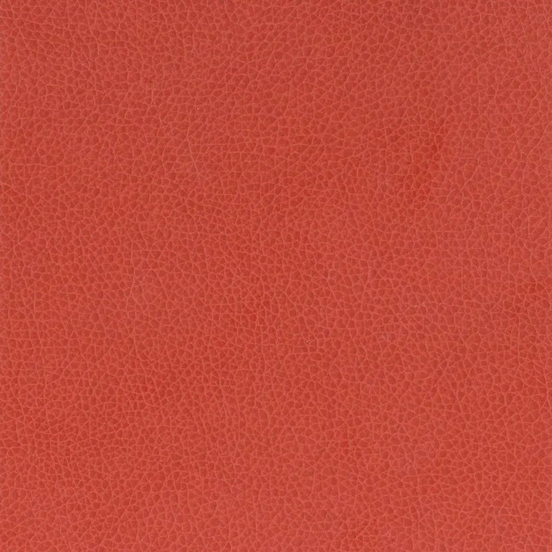 Nemo-Rose