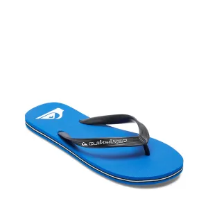 Quiksilver Molokai Core Slippers
