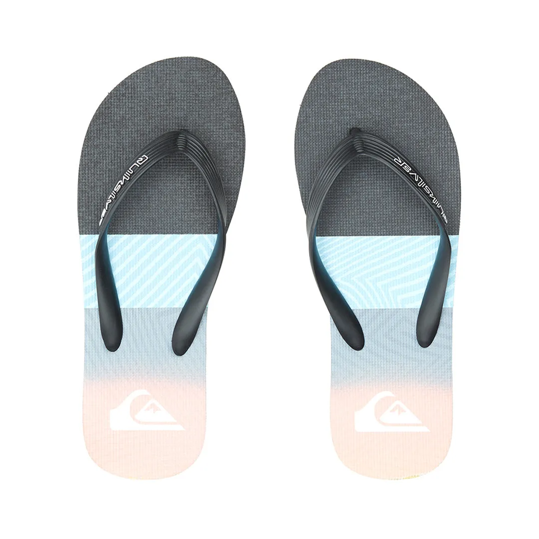 Quiksilver Molokai Panel Slippers