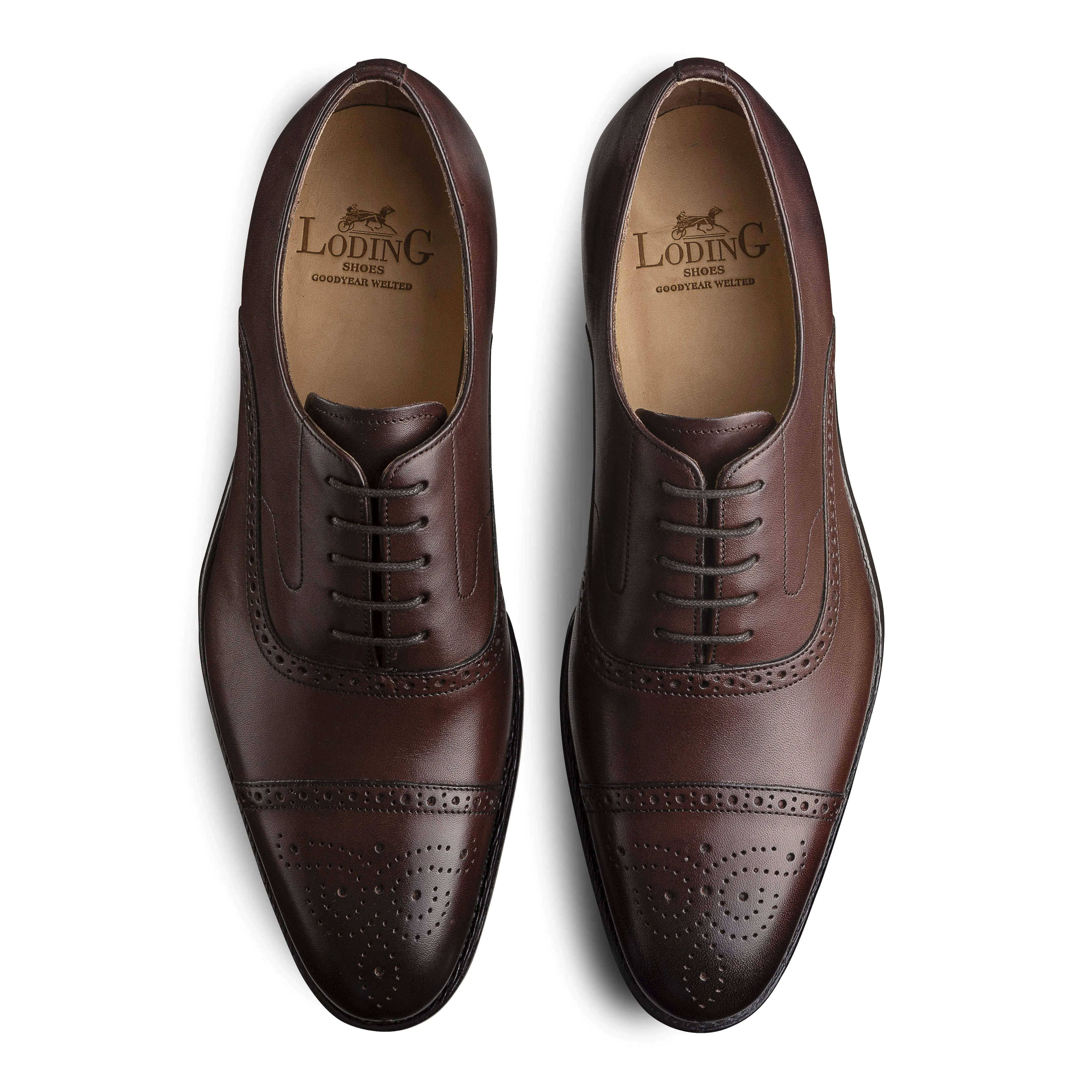 Richelieu Brogue Newton 318 marron