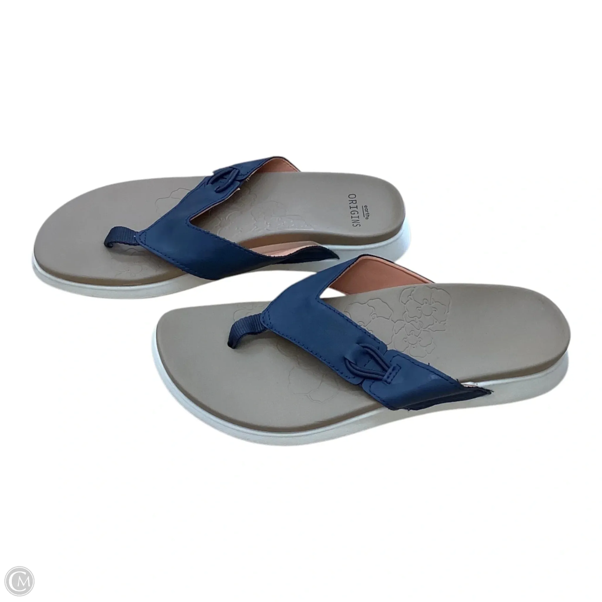 Sandals Flip Flops By Earth Origins In Blue & Tan, Size: 10