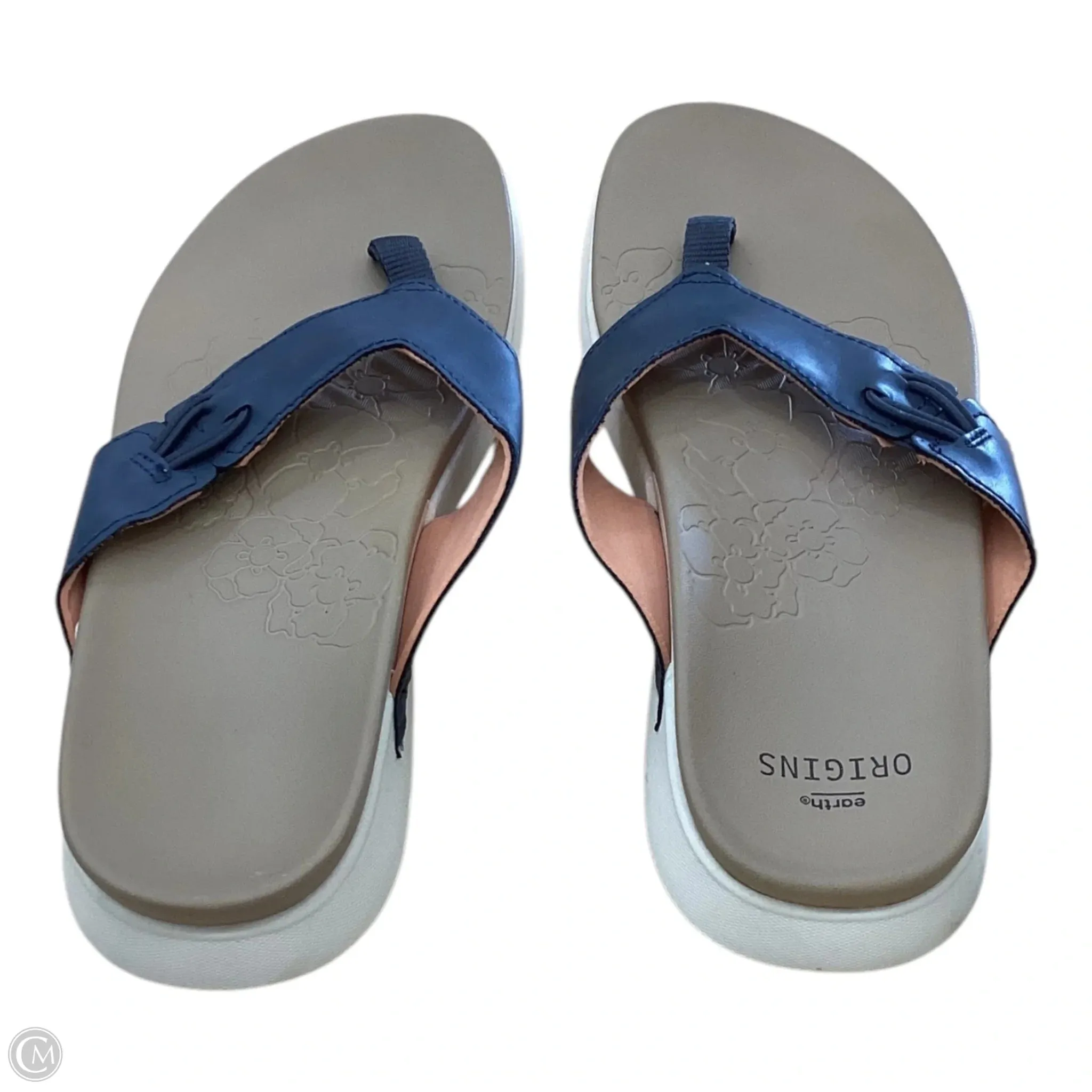 Sandals Flip Flops By Earth Origins In Blue & Tan, Size: 10