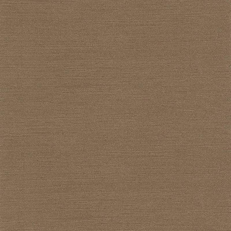 Slinky-Sparrow