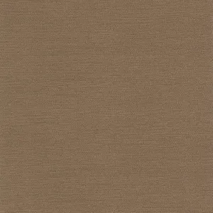 Slinky-Sparrow
